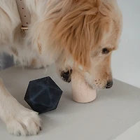 Dexypaws Power Duo Toy Set