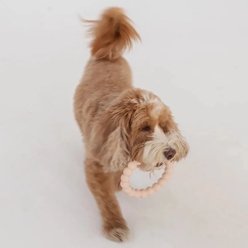 Dexypaws Super Chew Rings 2-Pack
