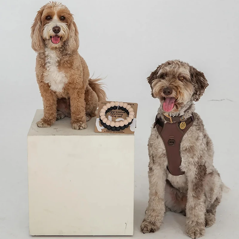 Dexypaws Super Chew Rings 2-Pack