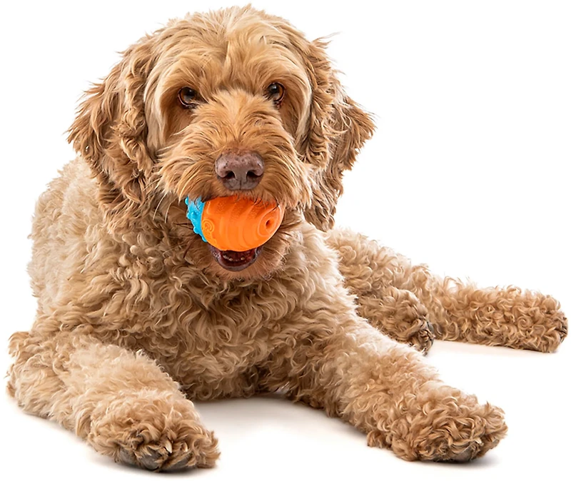 GURU Pet Crunch & Squeak Balls 2-Pack