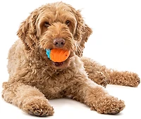 GURU Pet Crunch & Squeak Balls 2-Pack