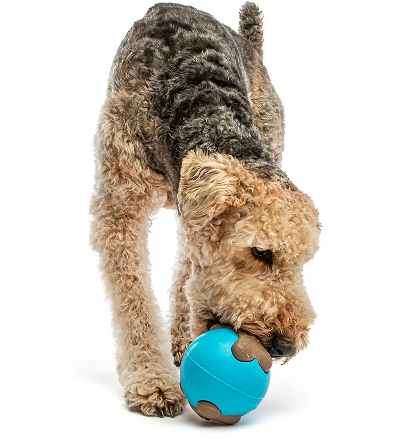 GURU Pet Busy Ball