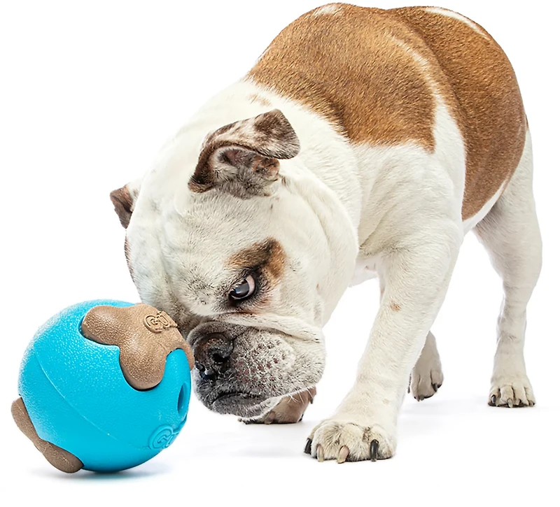 GURU Pet Busy Ball