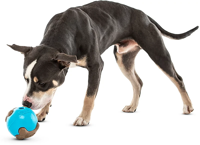 GURU Pet Busy Ball