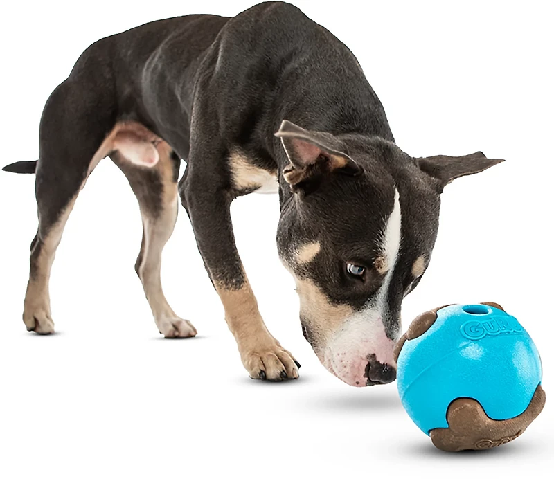 GURU Pet Busy Ball