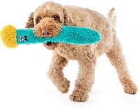 GURU Pet Fry Guy Chew Toy Set 5-piece