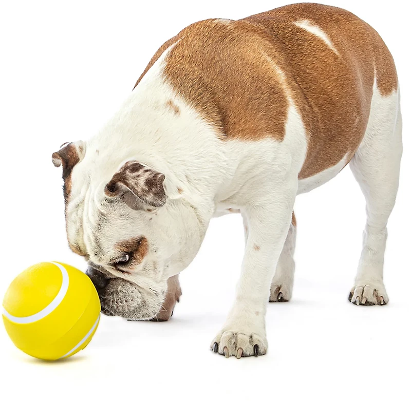 GURU Pet Giggling Tennis Ball Chew Toy