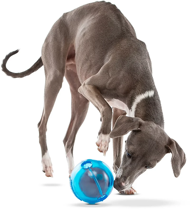 GURU Pet Guru Ball Dog Toy
