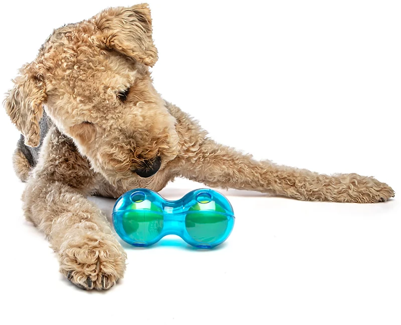 GURU Pet Guru Duo Ball Dog Toy