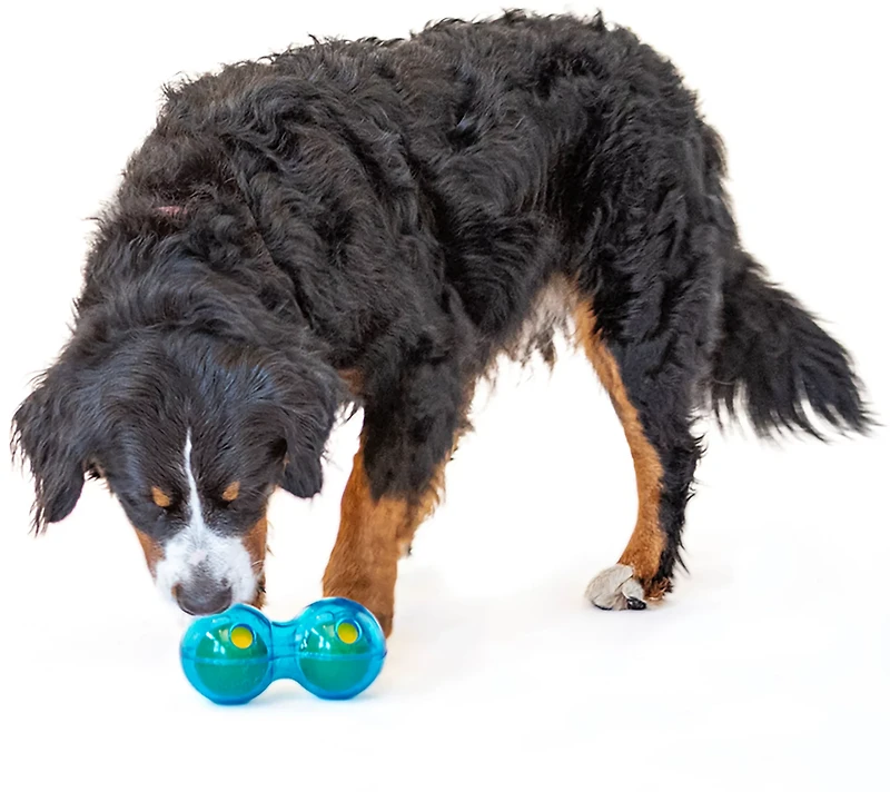 GURU Pet Guru Duo Ball Dog Toy