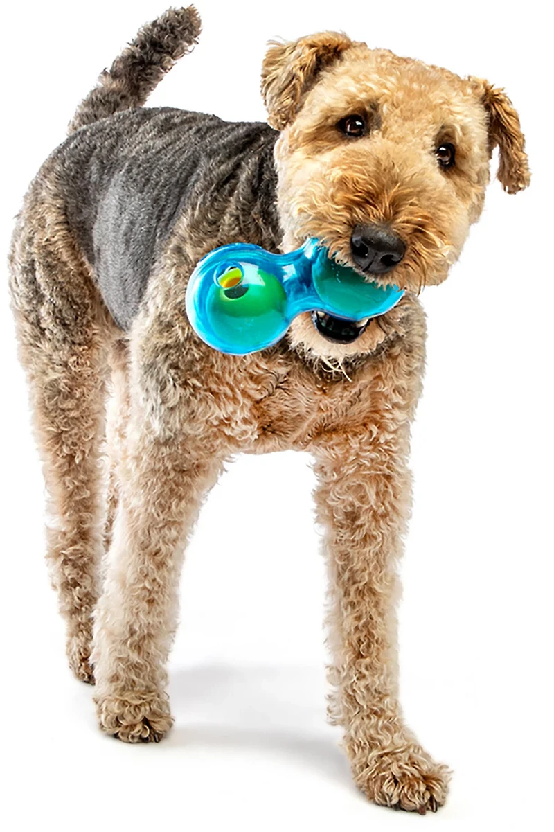 GURU Pet Guru Duo Ball Dog Toy