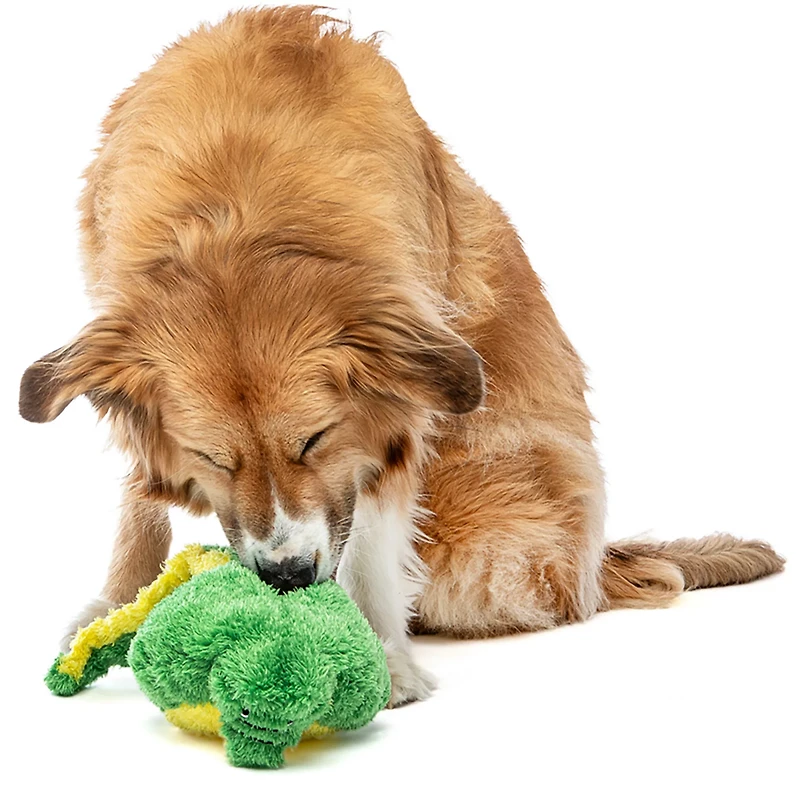 GURU Pet Hide-A-Tail Alligator Dog Toy
