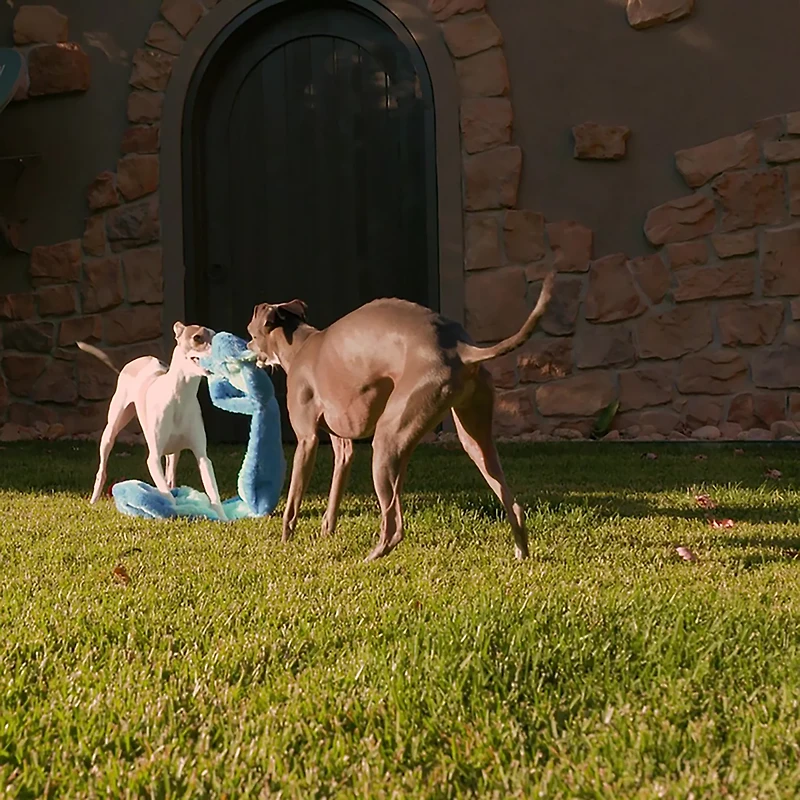 GURU Pet Hide-A-Tail Snake Dog Toy