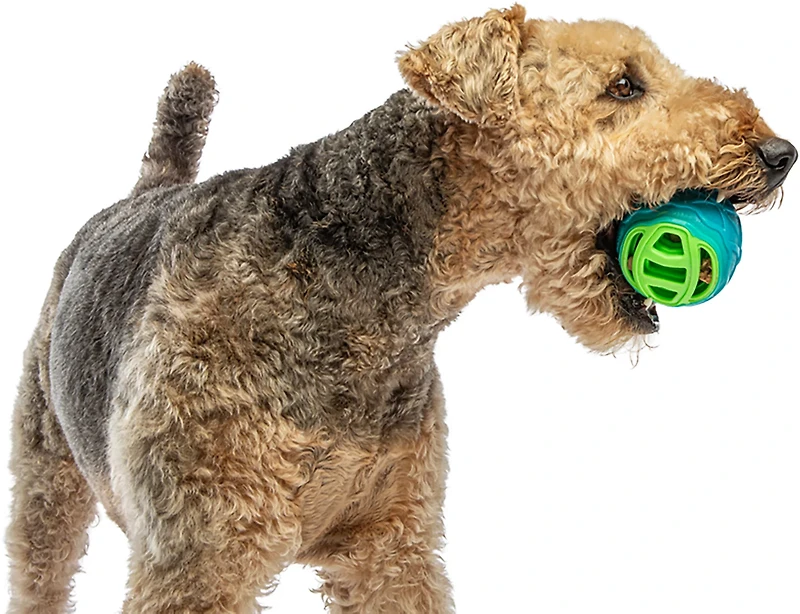 GURU Pet Pocket Ball