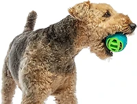 GURU Pet Pocket Ball