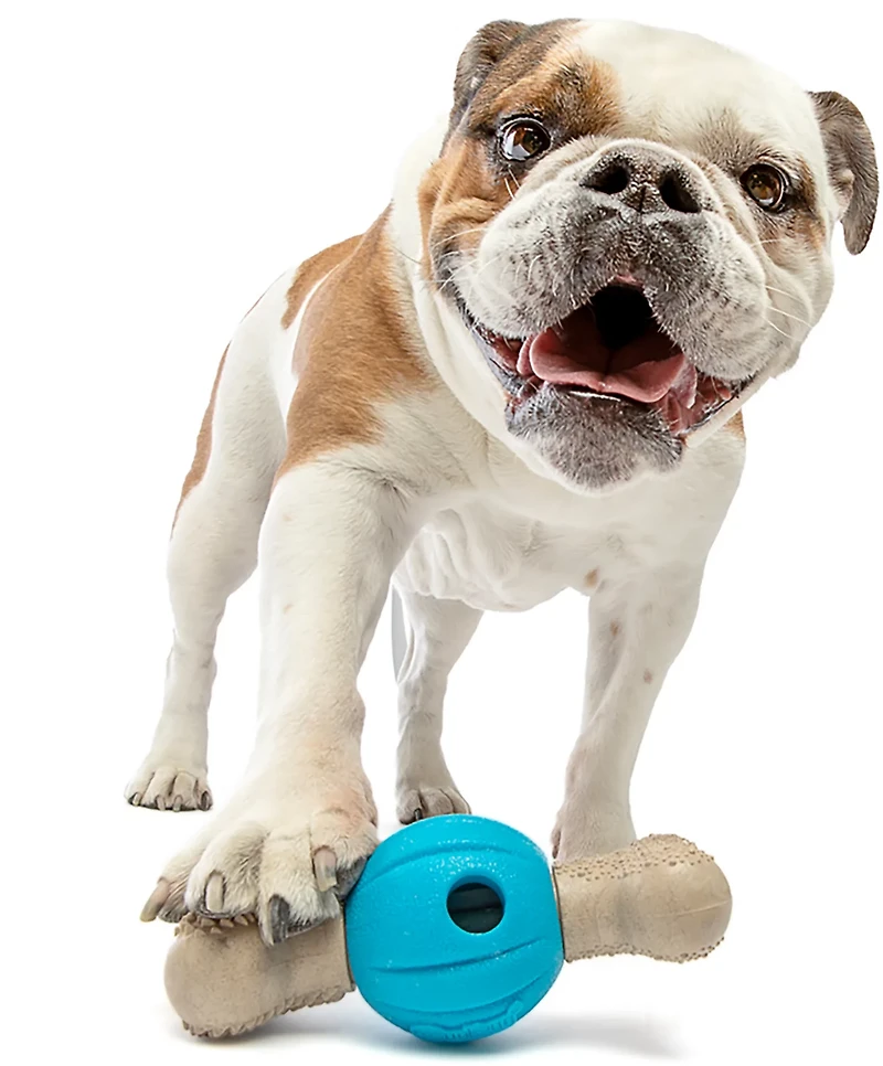 GURU Pet Spin & Chew Bone