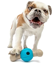 GURU Pet Spin & Chew Bone