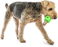 GURU Pet Spin & Treat Stick
