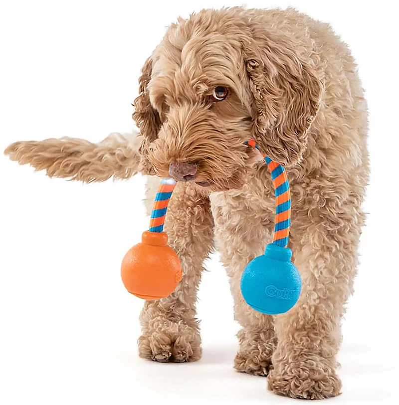 GURU Pet Squeaking Rope Dog Toy