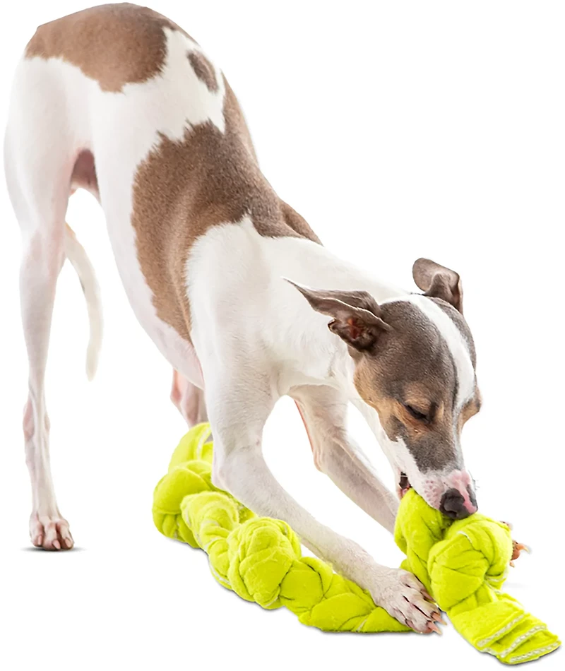 GURU Pet Squeaking Tennis Snuffle Rope Dog Toy