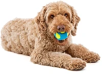 GURU Pet Tennis Max Ball