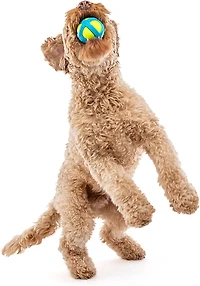 GURU Pet Tennis Max Ball