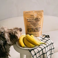 Dexypaws 12 oz. Dog Biscuits Bag