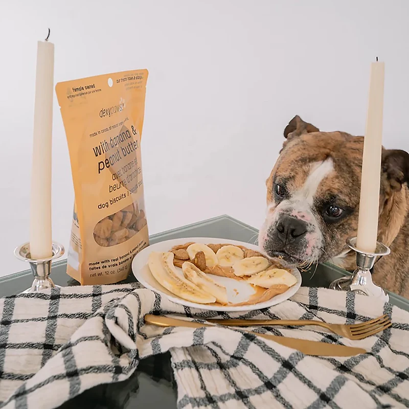 Dexypaws 12 oz. Dog Biscuits Bag