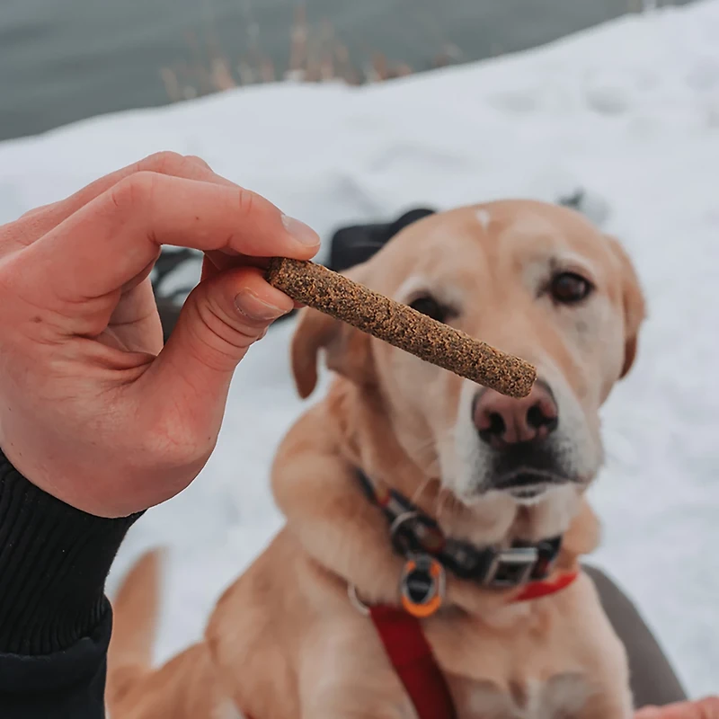 Dog Treat Naturals oz. Superfood Sticks Bag