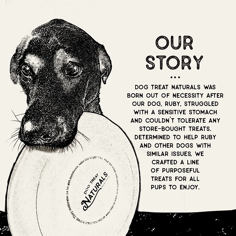 Dog Treat Naturals oz. Superfood Sticks Bag