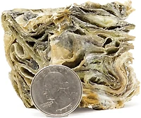 Icelandic+ 2" Cod Skin Cube Dog Treat