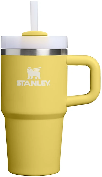 Stanley 20oz Adventure Quencher H2.0 FlowState Tumbler