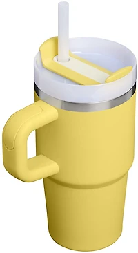 Stanley 20oz Adventure Quencher H2.0 FlowState Tumbler