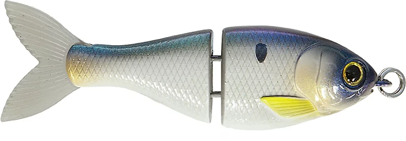 Mike Bucca BFS 2-1/2 in. Trick Shad Swimbait