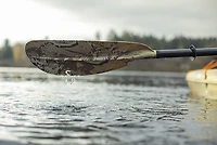 Pelican Catch Fiberglass Angler 8'2" Kayak Paddle