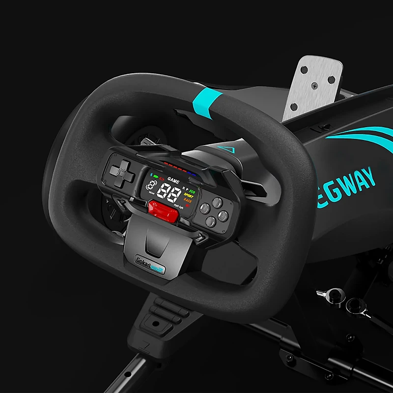 Segway Ninebot Electric Pro 2 Gokart