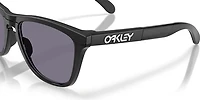 Oakley Adults' Frogskins Range XL Sunglasses