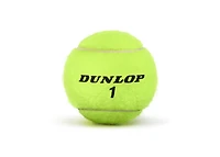 Dunlop ATP Championship Extra Duty Tennis Balls 12-Pack
