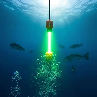 NEBO Submerser 400C LED Submersible Fishing Light