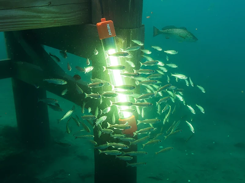 NEBO Submerser 800C LED Submersible Fishing Light