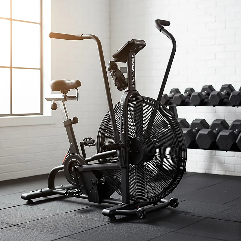 Assault Bike Classic