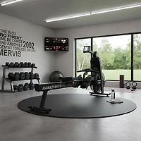 Assault Rower Pro