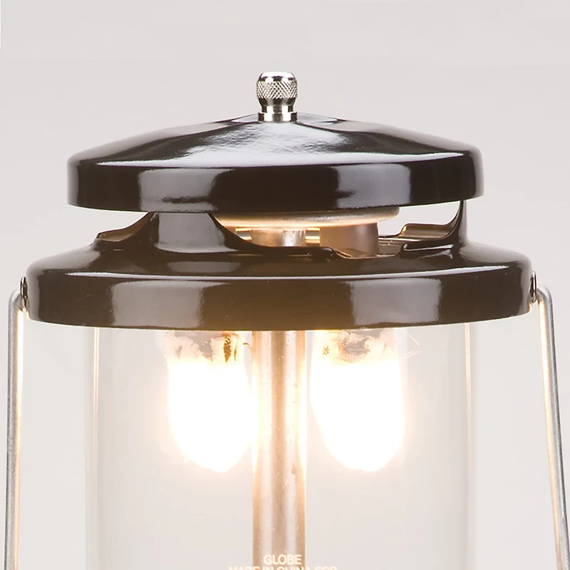 Coleman® Deluxe PerfectFlow™ Propane Lantern with Hard Carry Case