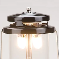 Coleman® Deluxe PerfectFlow™ Propane Lantern with Hard Carry Case