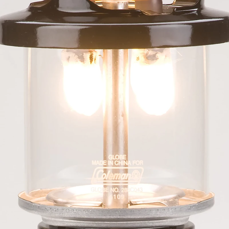 Coleman® Deluxe PerfectFlow™ Propane Lantern with Hard Carry Case