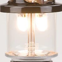 Coleman® Deluxe PerfectFlow™ Propane Lantern with Hard Carry Case