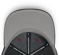 Nike Men's Georgia DF Structured Aero Bill Fitted Cap