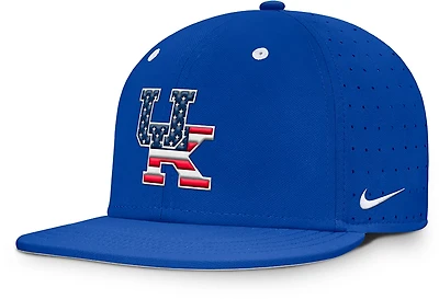 Nike University of Kentucky American Flag Primary Logo DF True Structured Aero Bill Cap