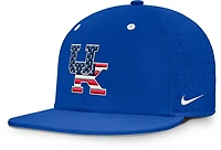 Nike University of Kentucky American Flag Primary Logo DF True Structured Aero Bill Cap