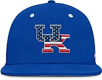Nike University of Kentucky American Flag Primary Logo DF True Structured Aero Bill Cap